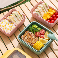 Two-compartment bento lunch box with spoon and fork in the lid – view 6